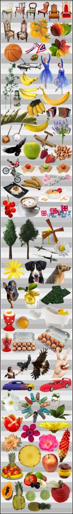 500-Transparent-Photos