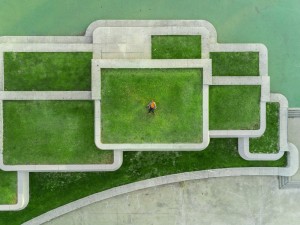 Evergreen https://wunderstock.com/photo/urban-green-roof-drone-portrait_y9Yexw4QHW0C